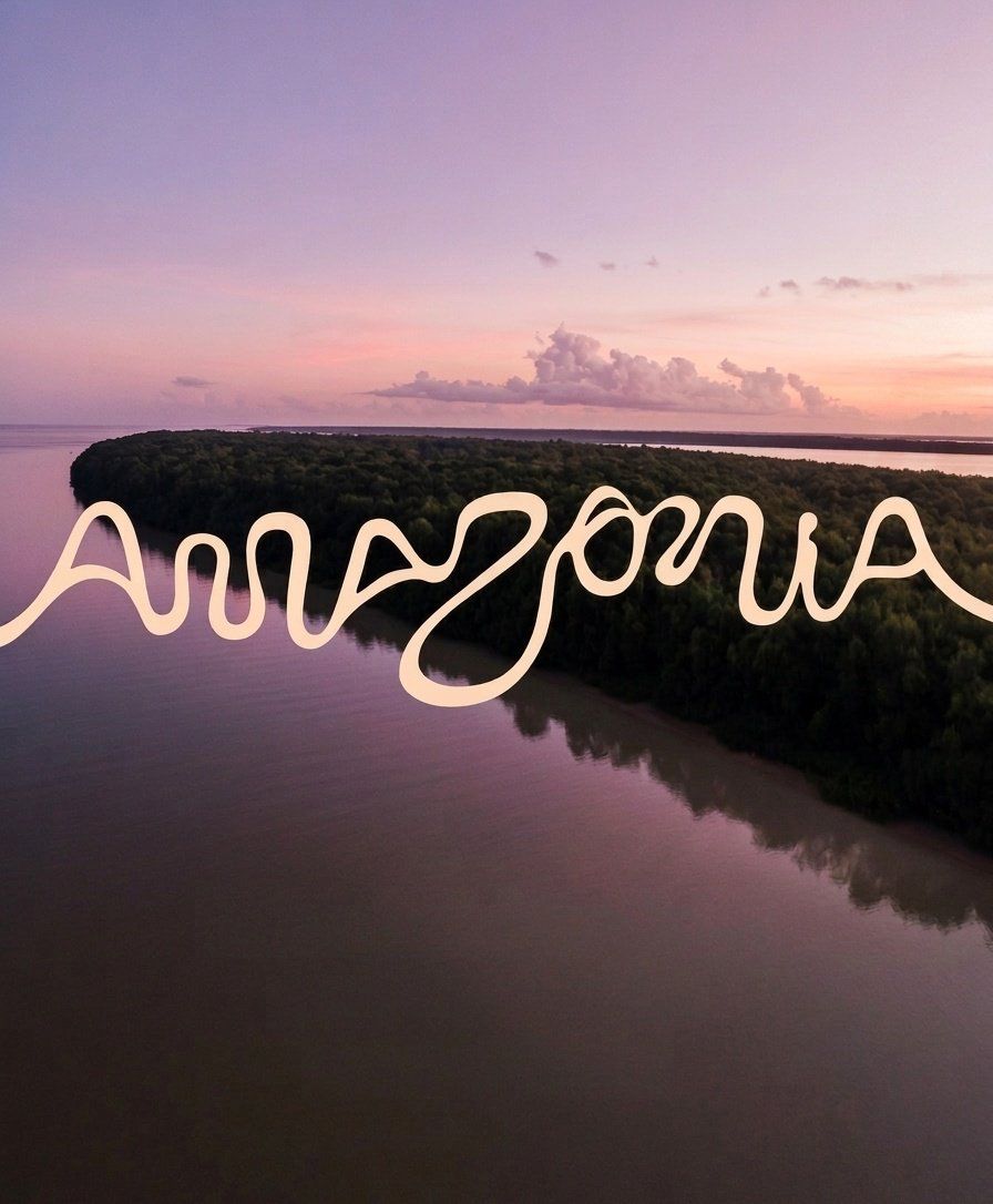 The Amazonia wordmark, whose every letterform traces an actual river path
